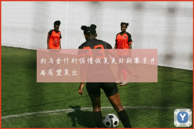利马舍什科伤情恢复良好新赛季开局有望复出