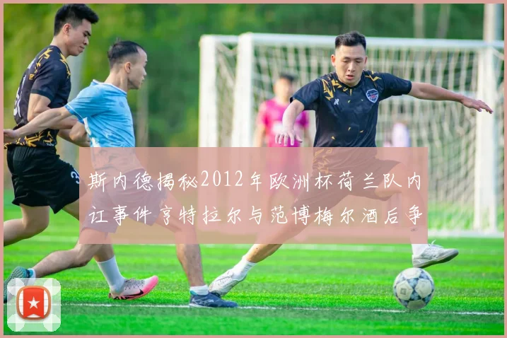 斯内德揭秘2012年欧洲杯荷兰队内讧事件亨特拉尔与范博梅尔酒后争执内幕