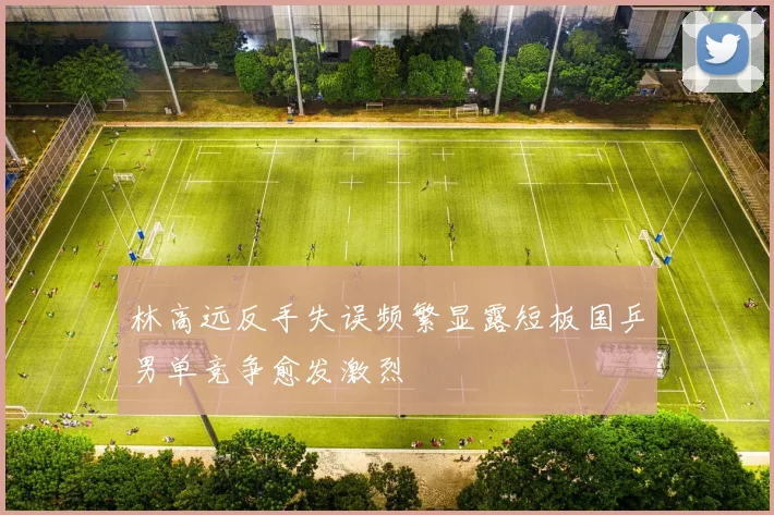 林高远反手失误频繁显露短板国乒男单竞争愈发激烈